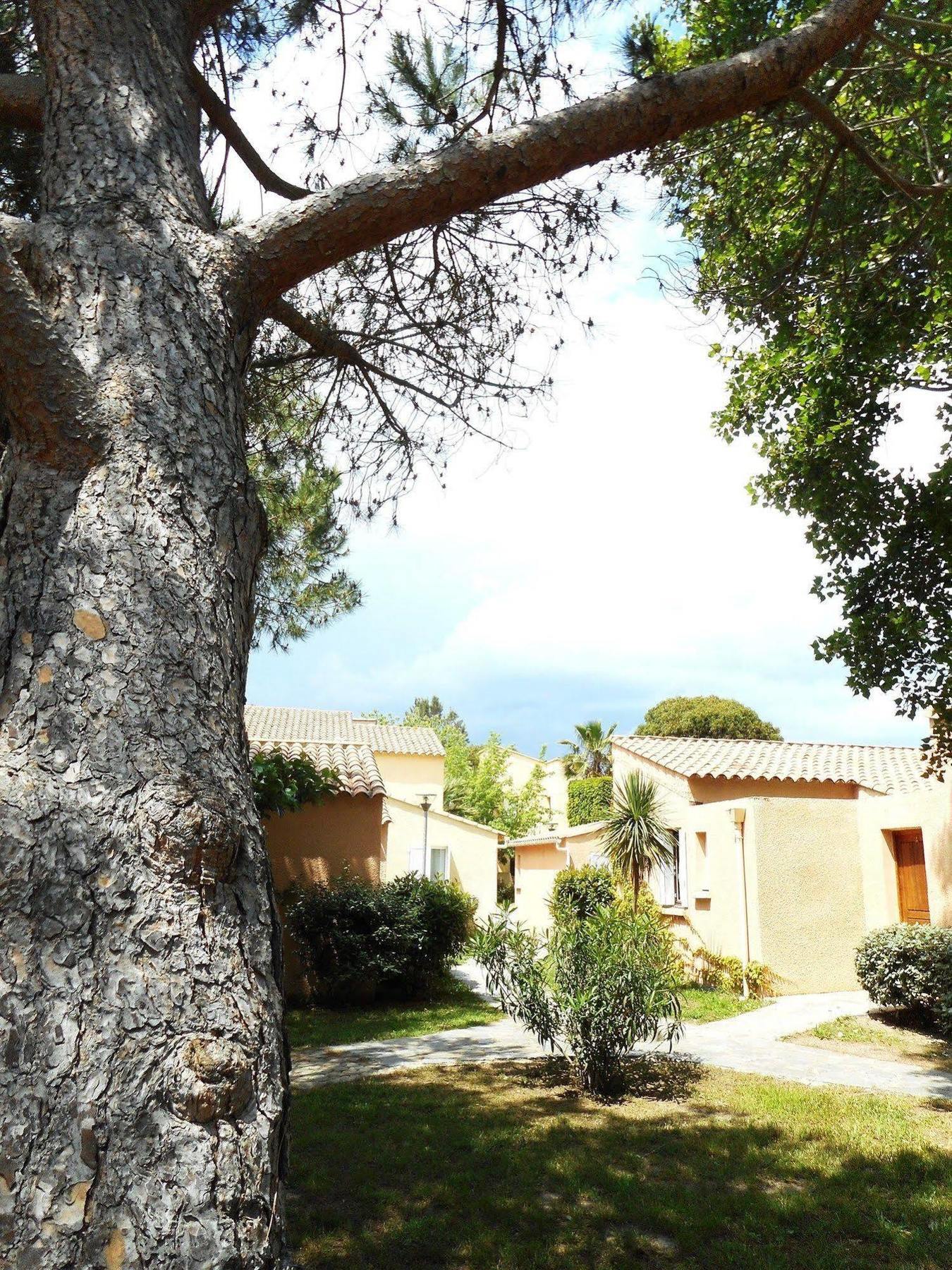 Marina Doru Villa Ghisonaccia Exterior photo